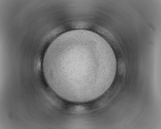 X0000113980310200910161629