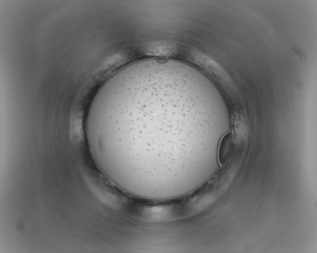 X0000113980312200910161628