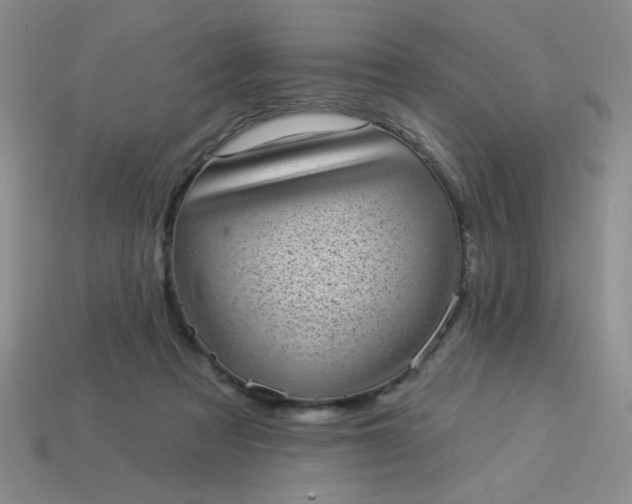 X0000113980313200910161628