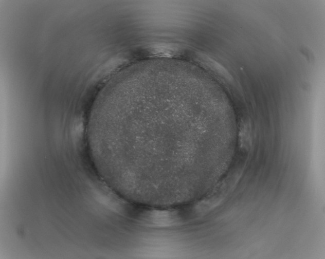 X0000113980314200910161628