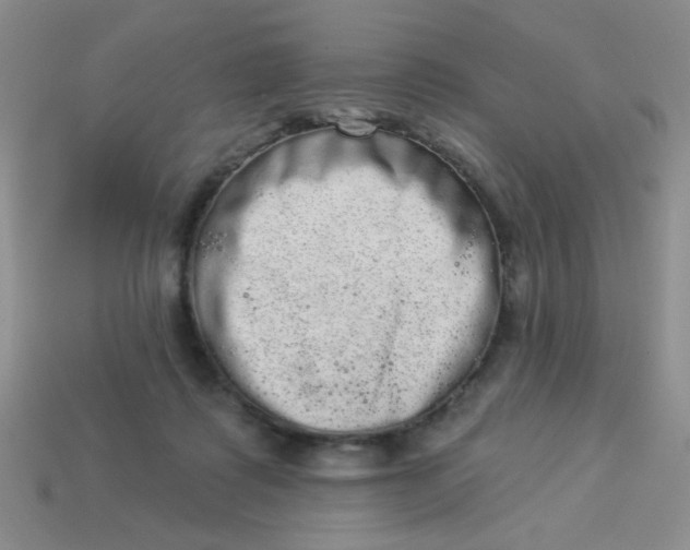 X0000113980315200910161628