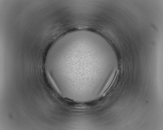 X0000113980316200910161628