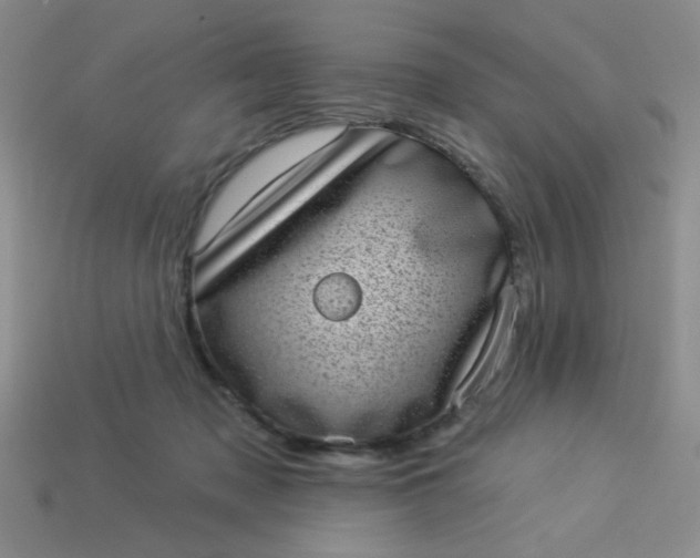 X0000113980317200910161628