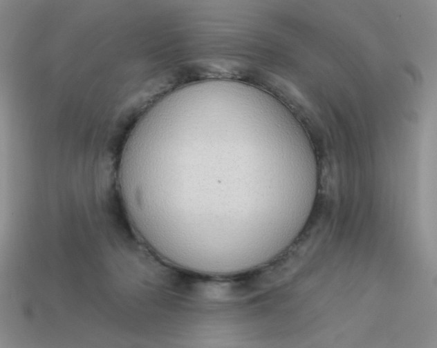 X0000113980318200910161628