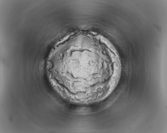 X0000113980319200910161628