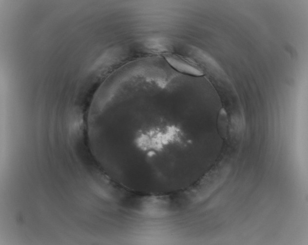 X0000113980320200910161628