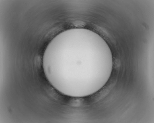 X0000113980321200910161628