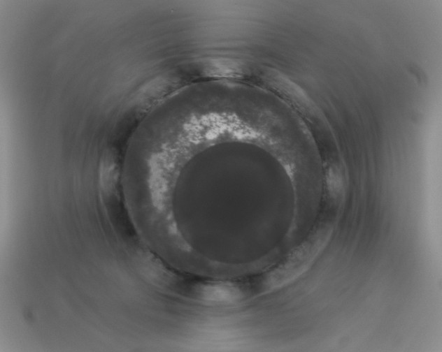 X0000113980322200910161628