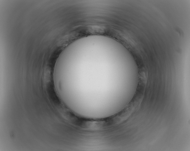 X0000113980323200910161628