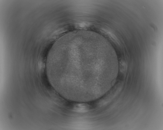 X0000113980324200910161628