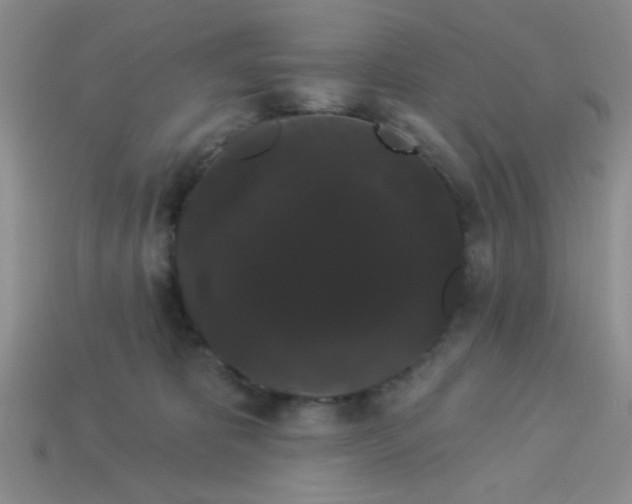 X0000113980325200910161628