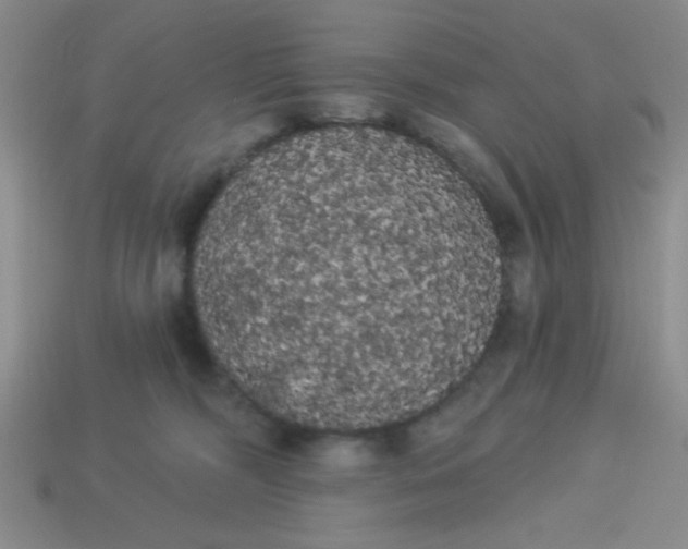 X0000113980326200910161628