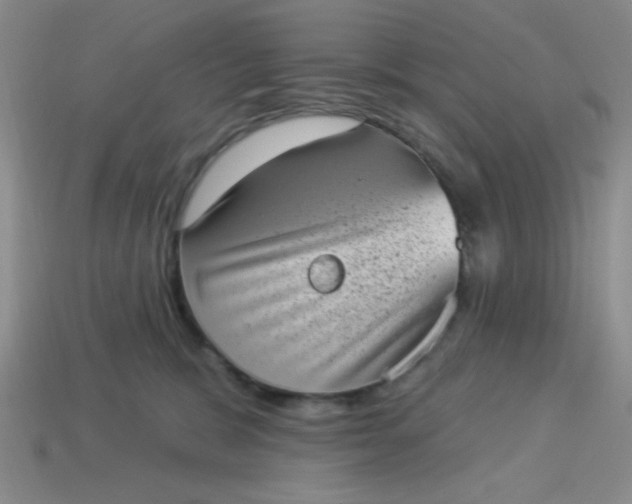 X0000113980327200910161628