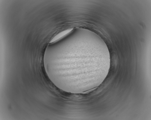 X0000113980328200910161628