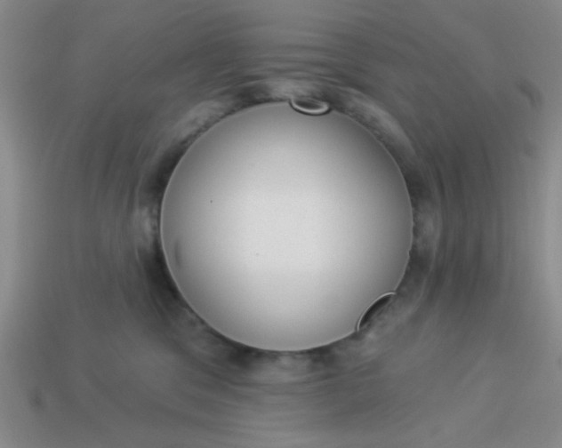 X0000113980329200910161628