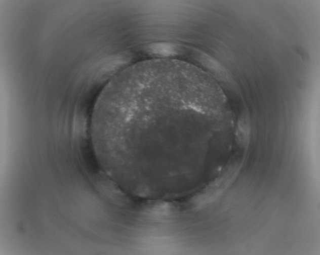 X0000113980330200910161628