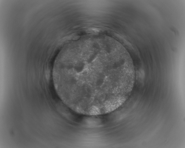 X0000113980331200910161628