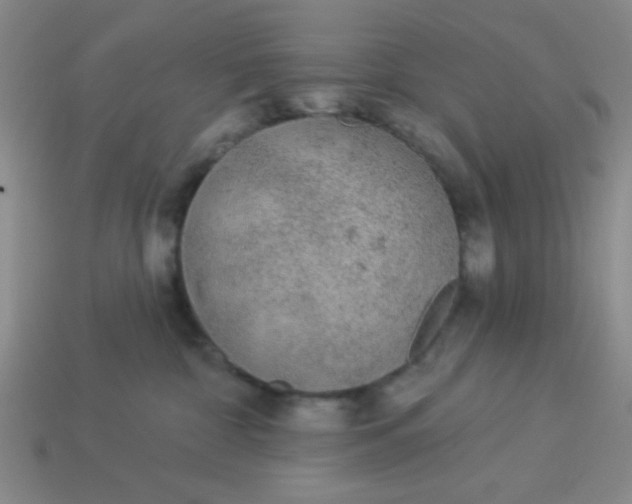 X0000113980332200910161628