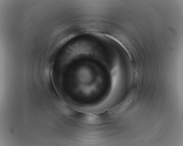 X0000113980333200910161628