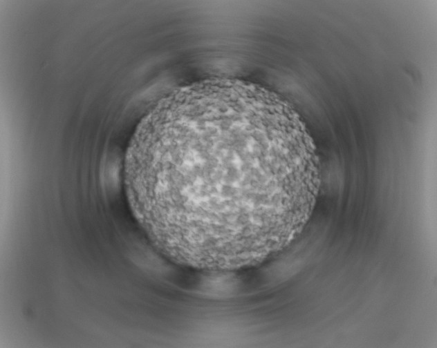 X0000113980334200910161628