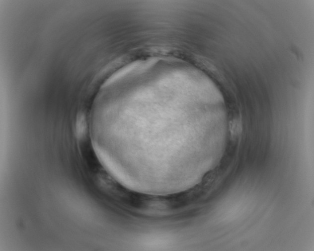 X0000113980335200910161628