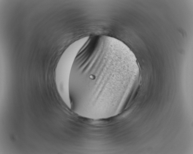 X0000113980336200910161628