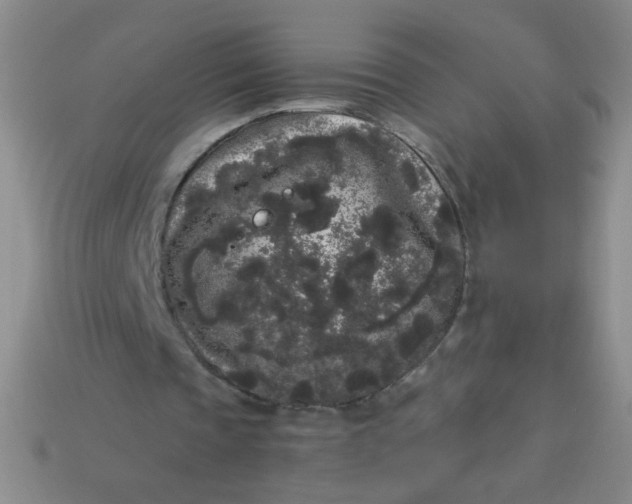 X0000113980337200910161627