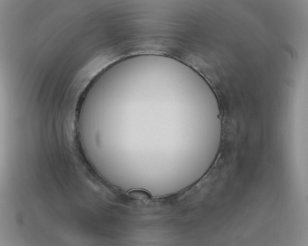 X0000113980338200910161627