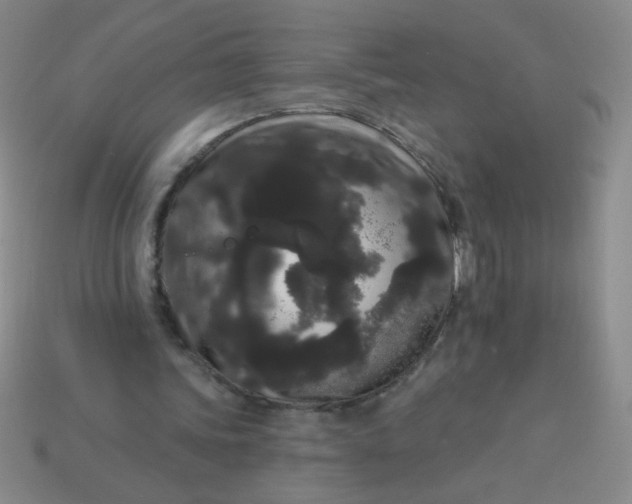 X0000113980339200910161627