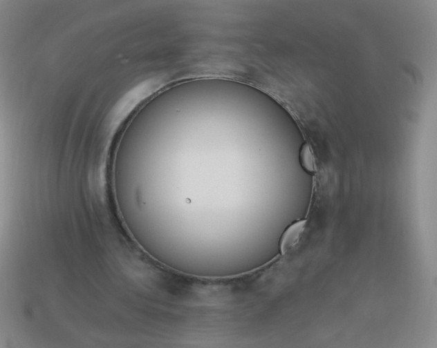 X0000113980340200910161628