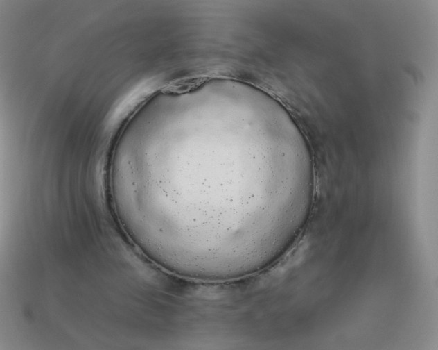 X0000113980341200910161628