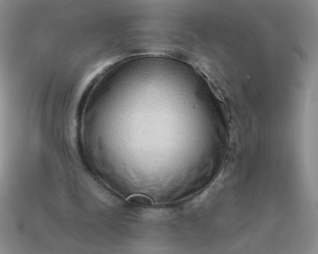 X0000113980342200910161628