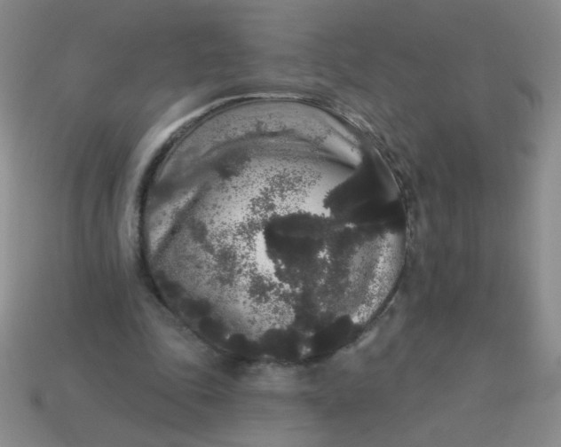 X0000113980343200910161628