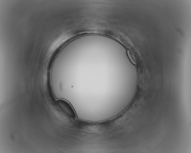 X0000113980344200910161628