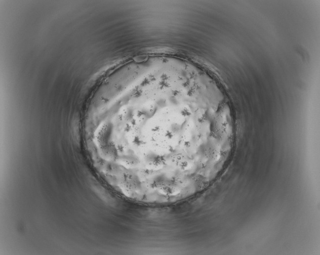 X0000113980345200910161628