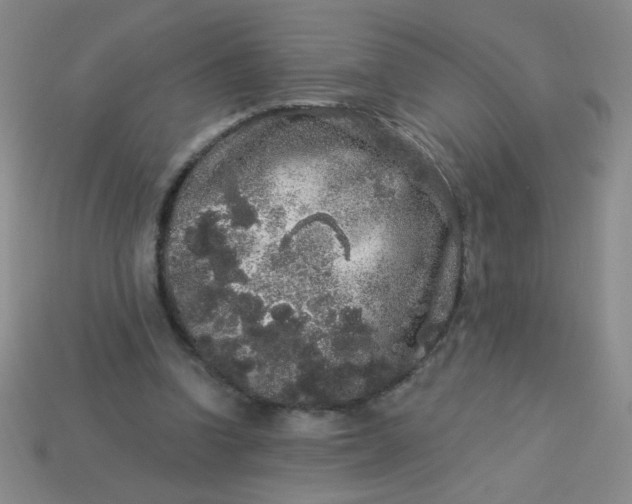 X0000113980346200910161628