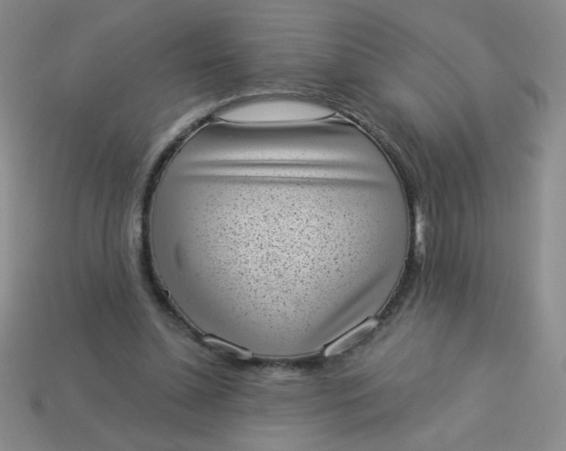 X0000113980348200910161628