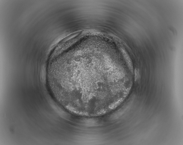 X0000113980349200910161628