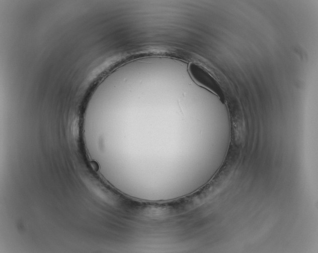 X0000113980350200910161628