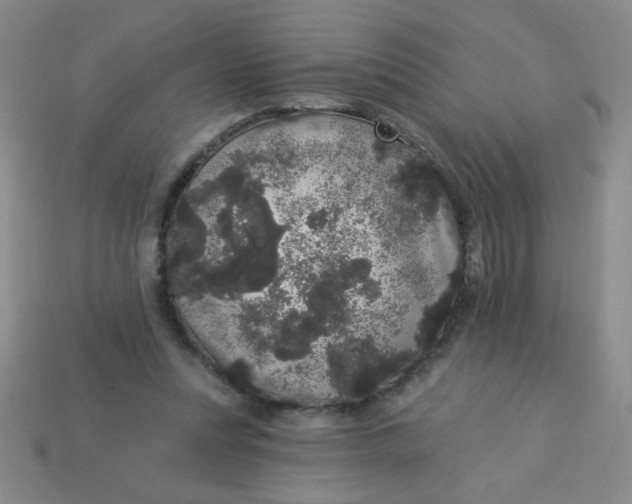 X0000113980351200910161628