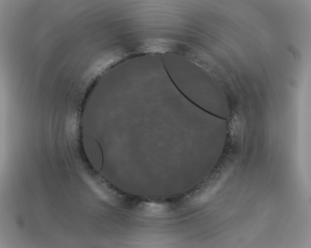 X0000113980352200910161628