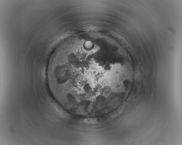 X0000113980353200910161628