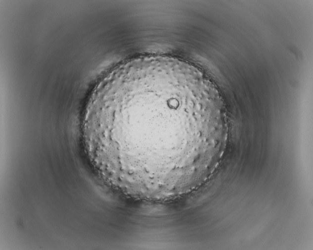 X0000113980354200910161628