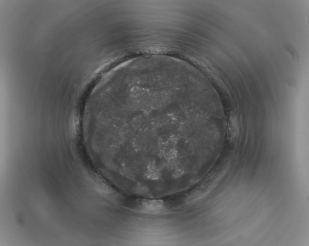 X0000113980355200910161628