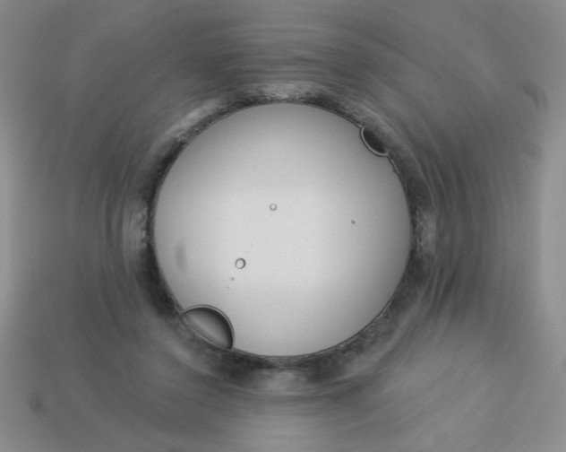 X0000113980356200910161628