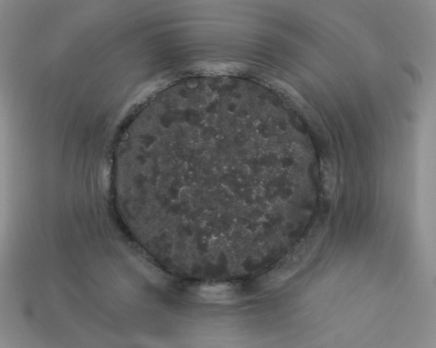 X0000113980357200910161628