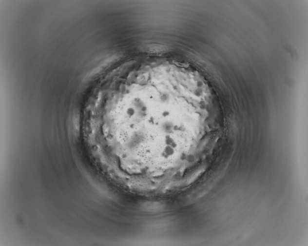 X0000113980358200910161628