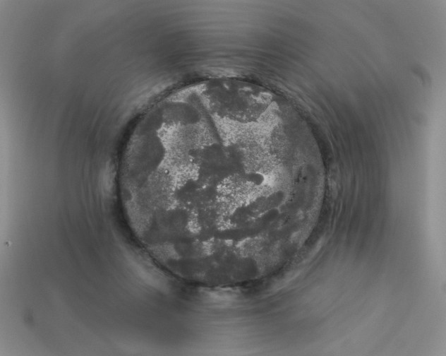 X0000113980359200910161628