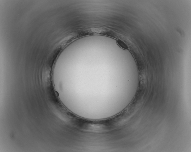 X0000113980360200910161628