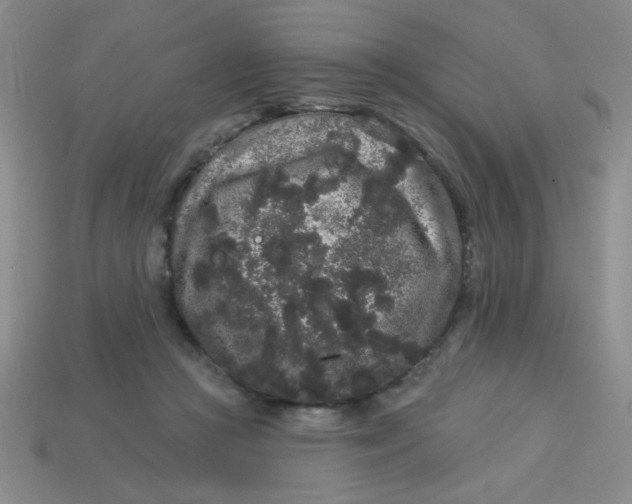 X0000113980361200910161628